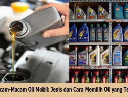 Tips Memilih Oli Sesuai Jenis Kendaraan yang Tepat