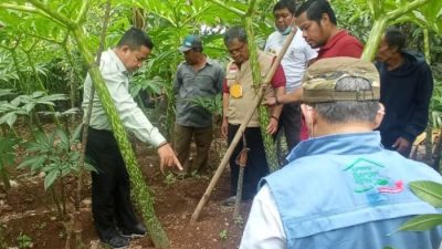 Inisiatif Pemerintah Daerah dalam Mendorong Bisnis Lokal
