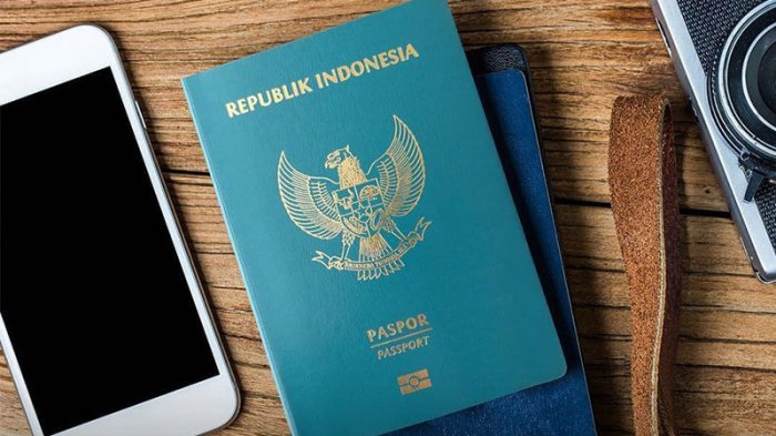 Daftar Negara dengan Paspor Terkuat di Dunia Mei 2025, Indonesia Peringkat Berapa?