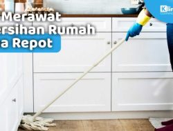 Tips Menjaga Kerapian Rumah Tanpa Repot dan Efektif