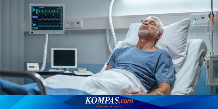 6 Penyakit Tidak Menular yang Sering Menyebabkan Kematian Bukan Penyakit, Kematian Gustiwiw Disebabkan Hal Tak Terduga