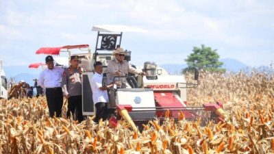 Presiden Pimpin Panen Raya Kuartal II, Fokus pada Produksi Pangan