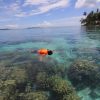 Potensi Wisata Aceh Singkil, Pernah Dilirik UEA untuk Resort