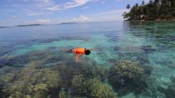 Potensi Wisata Aceh Singkil, Pernah Dilirik UEA untuk Resort