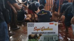 Pemprov Babel Terima Bantuan 8 Sapi Kurban Siap Disembelih Idul Adha