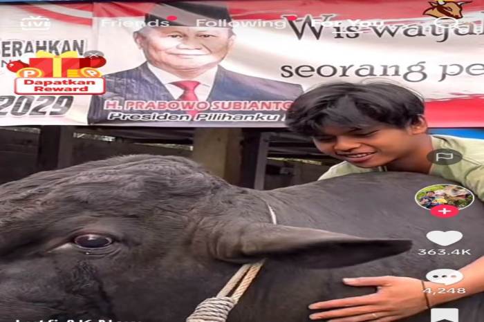 Berat Sapi Kurban Prabowo Bikin Takjub, Capai 1,3 Ton