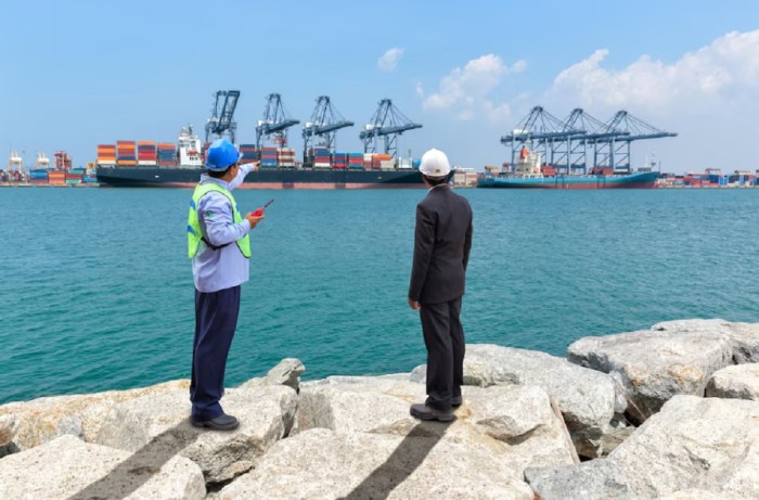 Deal Mengejutkan dalam Kesepakatan RI-AS: Apa Saja Isinya?