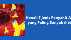 Info Tentang Penyakit Autoimun yang Masih Jarang Diketahui