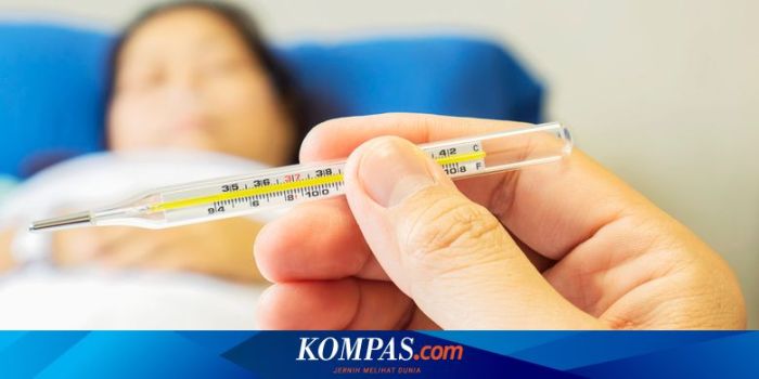 Tanpa Obat, Ini 4 Cara Turunkan Demam pada Anak Cara Mengatasi Demam Tanpa Obat pada Anak