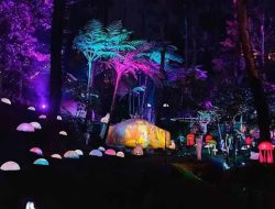Wisata Berkelanjutan yang Ramah Lingkungan Menjadi Pilihan