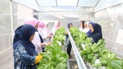 Kampung Hijau Modern Jadi Percontohan Inovatif untuk Lingkungan
