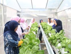 Kampung Hijau Modern Jadi Percontohan Inovatif untuk Lingkungan