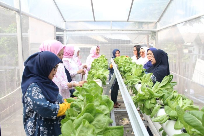 Kampung Hijau Kemuning Manfaatkan Lahan Sempit Jadi Produktif ... Kampung Hijau Modern Jadi Percontohan