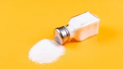 Generasi Micin dan Fakta MSG yang Diungkap oleh Nutrisionis