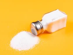Generasi Micin dan Fakta MSG yang Diungkap oleh Nutrisionis