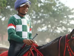 IHR Cup II 2025, 67 Kuda Bertanding Rebutkan Hadiah Total Rp 425 Juta