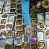 Kejadian Luar Biasa Makanan Bergizi Secara Gratis