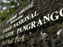 Sampah Menumpuk, Jalur Pendakian Gunung Gede Pangrango Ditutup per 13 Oktober 2025