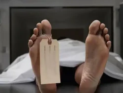 Terapis Tewas di Pejaten Daftar Kerja Menggunakan KTP Teman