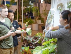Jelajahi Pameran Tanaman Hias dan Nikmati Musik Interaktif di Expo 2025