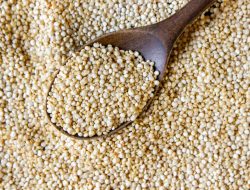 Sosis Ayam Sorgum Tinggi Protein dan Ramah bagi Penderita Diabetes