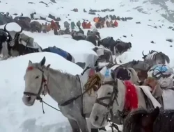 Anomali Badai Salju di Gunung Everest, 2 Pendaki Tewas dan 580 Orang Dievakuasi ke Tibet