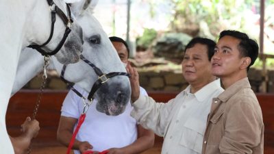 Tingkat Kepuasan Setahun Pemerintahan Prabowo-Gibran Capai 68,9 Persen menurut Median
