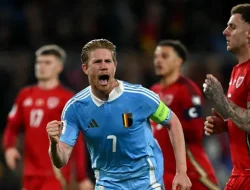 Wales vs Belgia Dihentikan Karena Insiden Unik Tikus Saat Pertandingan