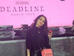 6 Fakta Michelle Ziudith Nonton Konser Blackpink di Jakarta Sejak Ngefans Tahun 2016