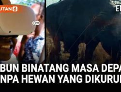 Kebun Binatang Masa Depan Hewan Bebas Berkeliaran Tanpa Terpenjara
