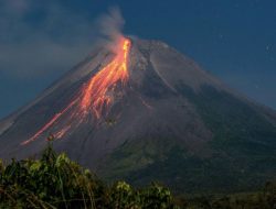 Merapi Luncurkan Awan Panas Guguran 6 Kali, Jarak Terjauh 2,5 Km