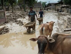 Pemkab Aceh Tamiang Usulkan Lahan Hunian Sementara untuk Korban Bencana sesuai BNPB