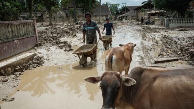 Pemkab Aceh Tamiang Usulkan Lahan Hunian Sementara untuk Korban Bencana sesuai BNPB