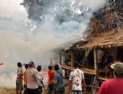 Kampung Adat Waru Wora Sumba Barat Terbakar, Anak-anak Trauma dan Kehilangan Sekolah