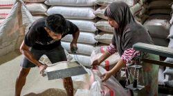 Menambah Stok Beras untuk Daerah Terdampak Bencana