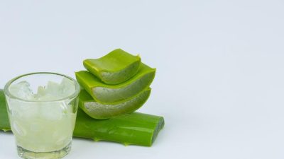 Ginseng, Kunyit, dan Lidah Buaya Jadi Herbal Terkenal Dunia, Ini Alasannya