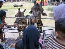 Libur Nataru, Kebun Binatang Jadi Destinasi Wisata Favorit Keluarga