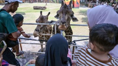 Libur Nataru, Kebun Binatang Jadi Destinasi Wisata Favorit Keluarga