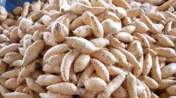 Panduan Memilih Warna Kulit, Tekstur, dan Aroma yang Tepat