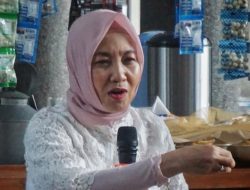 Area Bencana Sumatra Jalur Endapan Banjir Purba