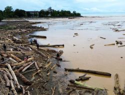 Bareskrim Selidiki Ribuan Gelondongan Kayu di Sumatra