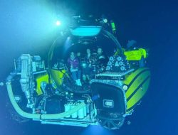 Identifikasi 14 Megafauna Bawah Laut Sulawesi oleh BRIN dan OceanX