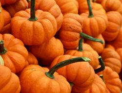 7 Resep Kue Labu Kuning Kukus Matang Tanpa Oven yang Praktis dan Simpel