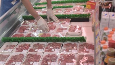 Bulog Tidak Mengimpor Daging Beku untuk Ramadan dan Lebaran Tahun 2026