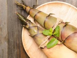 5 Manfaat Rebung bagi Kesehatan Termasuk Membantu Menurunkan Kolesterol