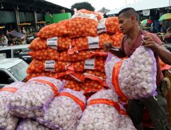 Target Impor Bawang Putih Dihentikan dalam 5 Tahun di Kementerian Pertanian