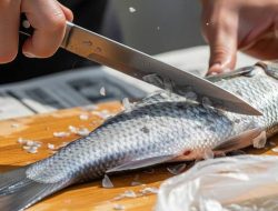 Membersihkan Sisik Ikan dengan Aman dan Praktis Tanpa Ribet di Rumah