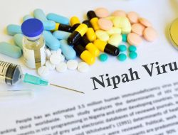 Virus Nipah Mengancam Sumut, Dinkes Tingkatkan Deteksi Dini